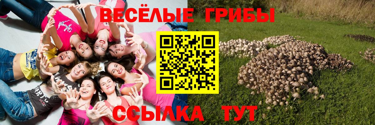 Унеча  Галлюциногенные грибы MAGIC MUSHROOMS  Псилоцибиновые грибы мицелий  купить закладку  Вход с VPN 