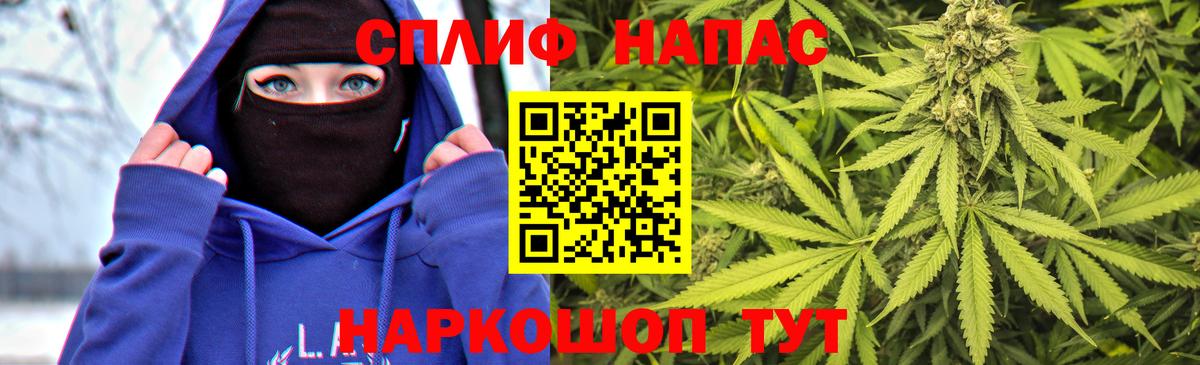 Каннабис сатива  Шишки марихуана сатива  Вход с VPN  Унеча 